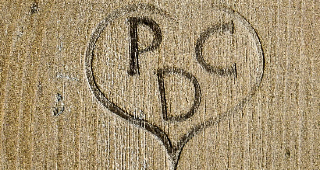 Der Brandstempel von Paul de Casparis.