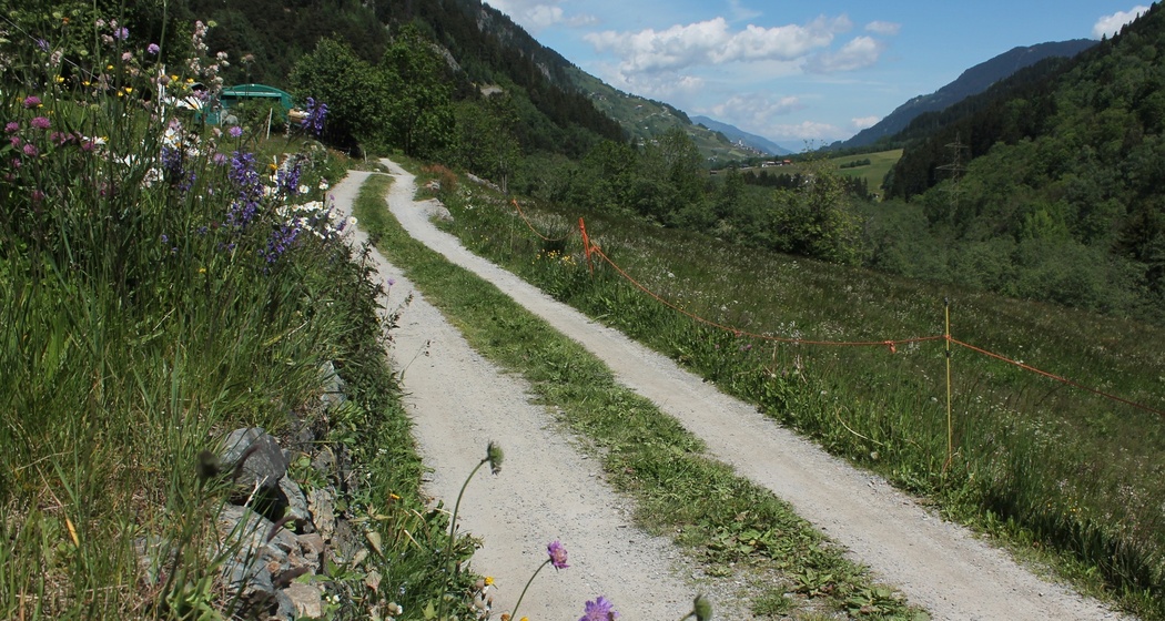 Blick zurück in Disla