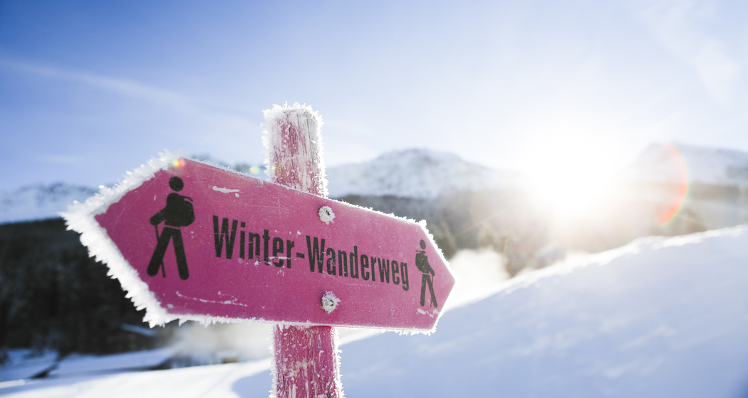 Panoramaweg Tgantieni - Heidbüel