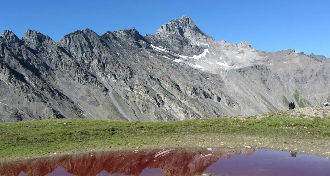 Rotes Seeli mit Stammerspitz