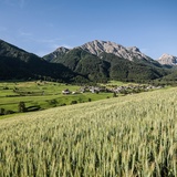 Blick ins Val Müstair
