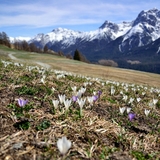 Printemps dans l'Unterengadin
