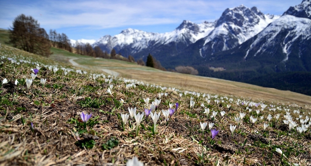 Frühling im Unterengadin
