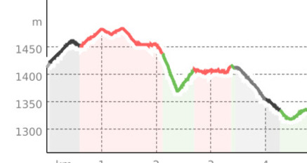 St. Antönien - Pany Waldtrail (markierter Trail Nr. 9) (oua_15656454_8d3fe7a_profile)
