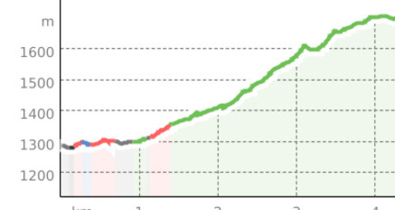über Flöna nach Ftan (oua_15670100_ff0f71d_profile)