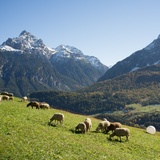 über Flöna nach Ftan (oua_15670168_image)