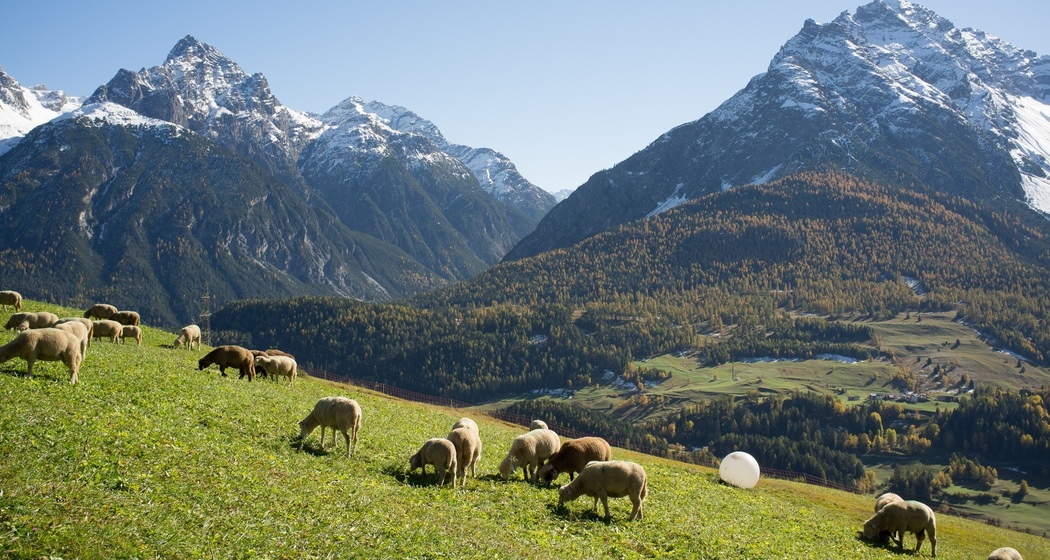 über Flöna nach Ftan (oua_15670168_image)