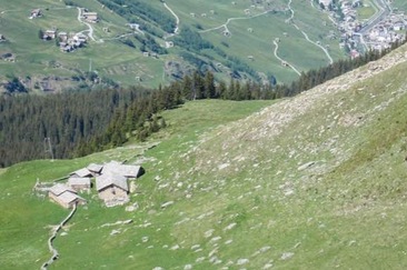 Alp Ampervreila; Foto: A. Tönz