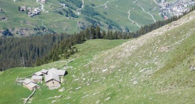 Alp Ampervreila; Foto: A. Tönz