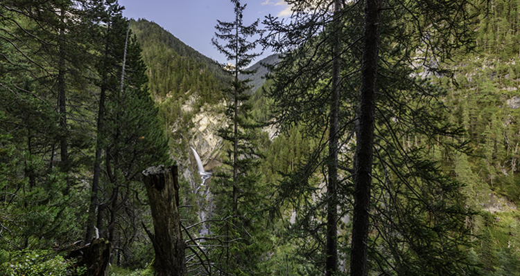Wasserfall Bärentritt, Wiesen (oua_15700989_image)