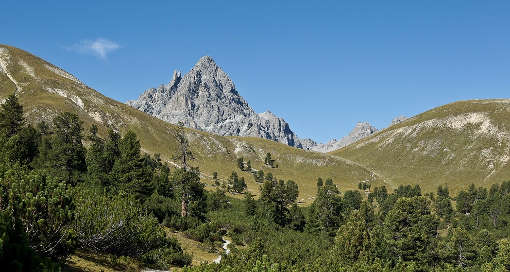 Alp Sesvenna (oua_15845796_image)