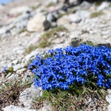 S-charl – Alp Sesvenna (retour) (oua_15845797_image)