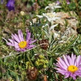 Bergwanderung Tablasot (oua_15845917_image)