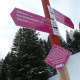 Sicherheitshinweise unbedingt beachten!