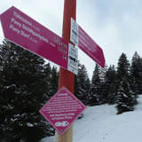 Kurze steilere Stelle vor Ronggaletz - meist problemlos zu bewältigen.