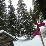 Lauschige Abschnitte durch den Winterwald (Verzweigungspunkt Waldhütte)