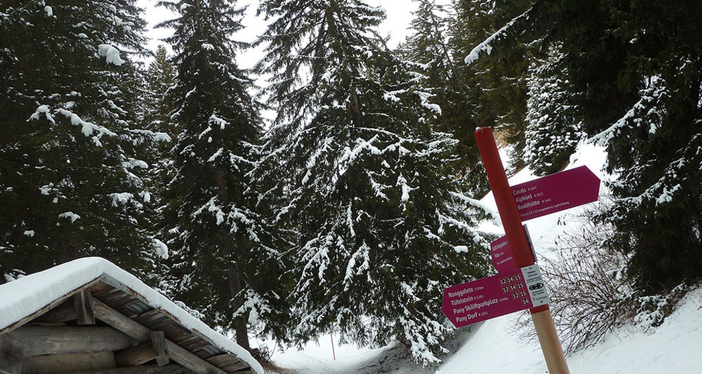 Lauschige Abschnitte durch den Winterwald (Verzweigungspunkt Waldhütte)