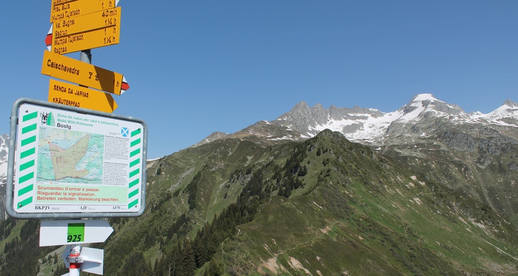 Ausblick nach Norden