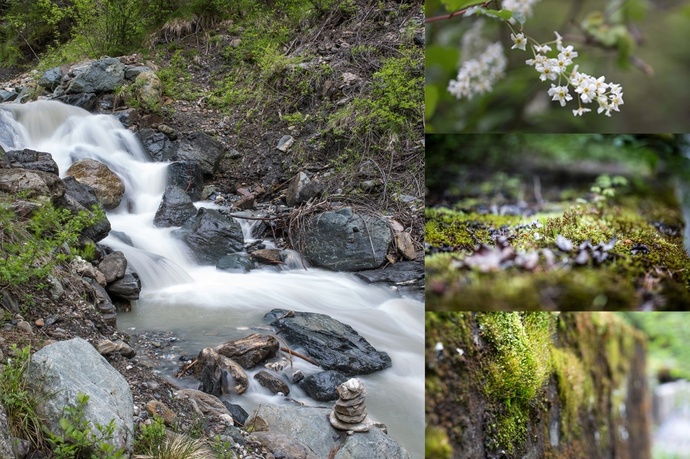 Gola di Clozza: verso la sorgente (oua_16879379_image)