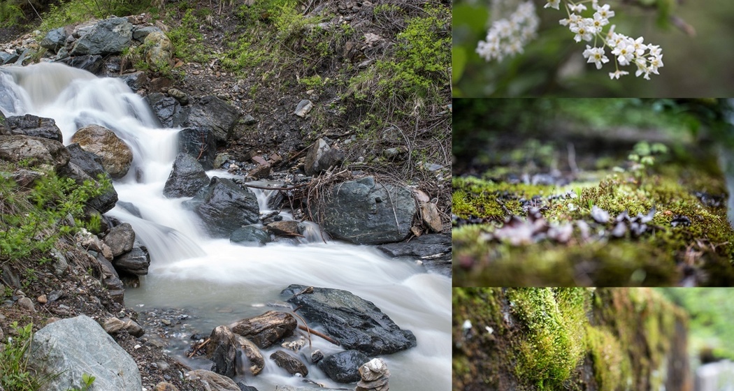 Clozza-Schlucht: Dem Ursprung entgegen (oua_16879379_image)