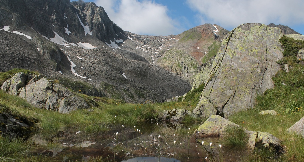 in der Nähe der Hütte