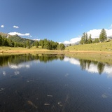 Lai Nair (oua_16929489_image)