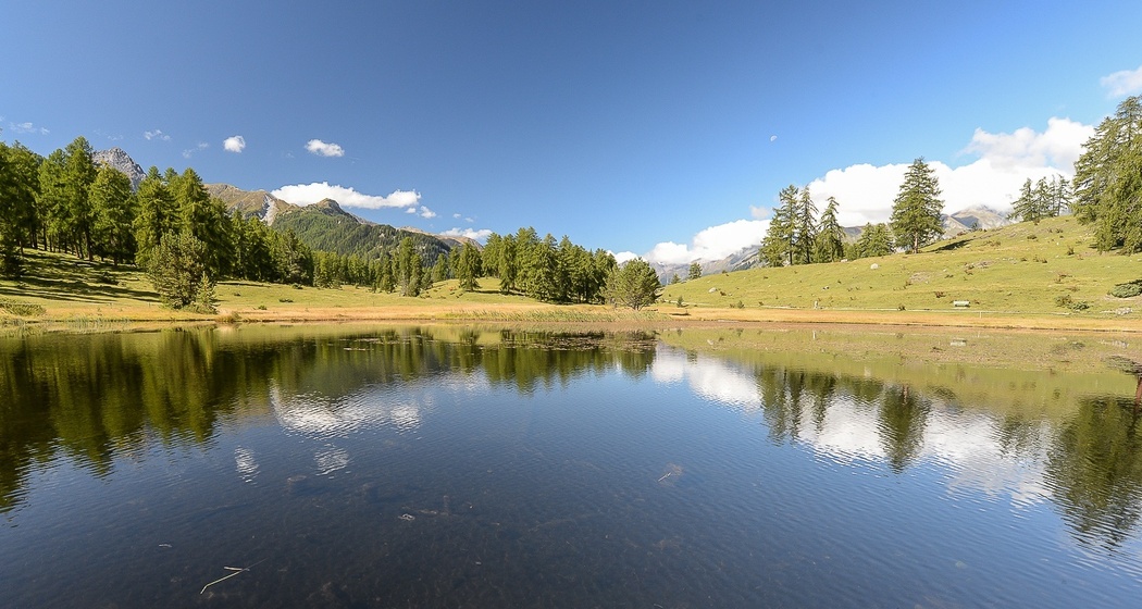 Lai Nair (oua_16929489_image)