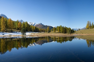 Lai Nair (oua_16929529_image)