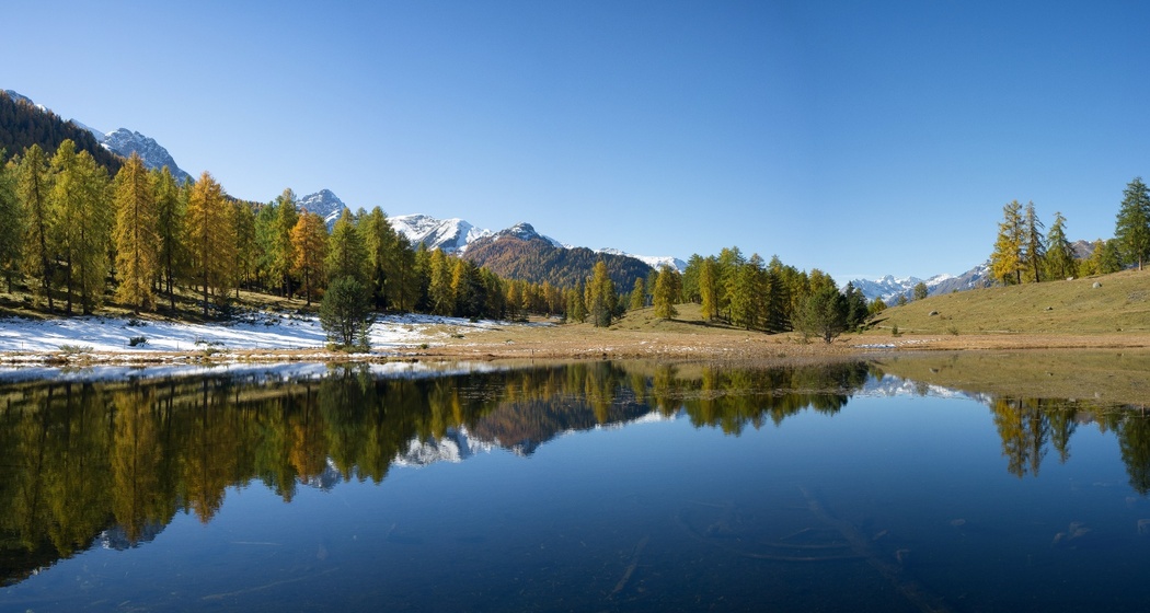 Lai Nair (oua_16929529_image)