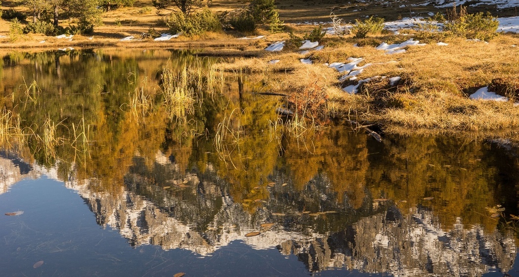 Lai Nair (oua_16929530_image)