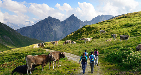 Am Septimerpass mit Blick ins Bergell