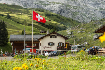 Alpenrösli im Sommer
