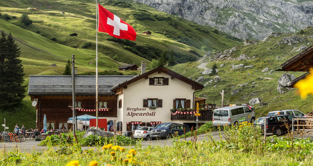 Alpenrösli im Sommer
