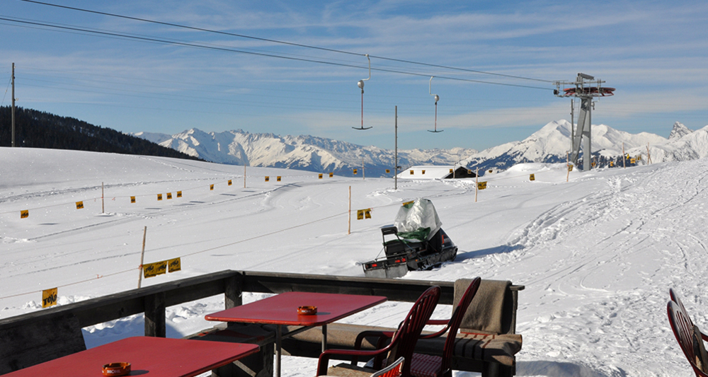 Blick vom Hochsitz Richtung Schesaplana