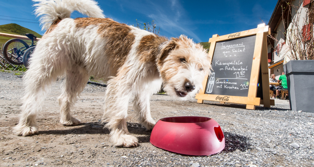 Rundwanderung Glattwang (oua_17380479_image)