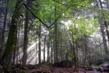 Val Cama - Ogreda, Provesc, Val Cama (oua_17547525_image)