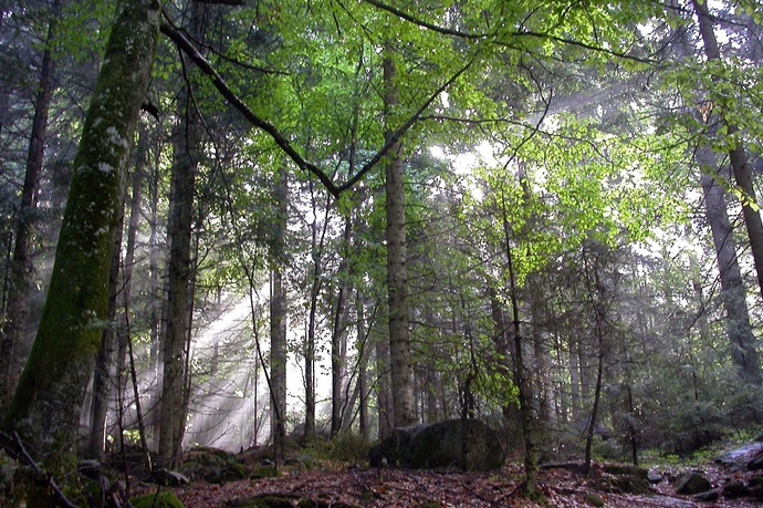 Val Cama - Ogreda, Provesc, Val Cama (oua_17547525_image)
