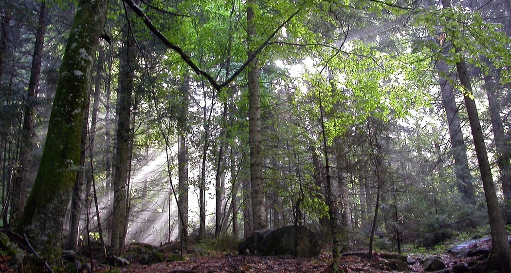Val Cama - Trail Running (oua_17547525_image)