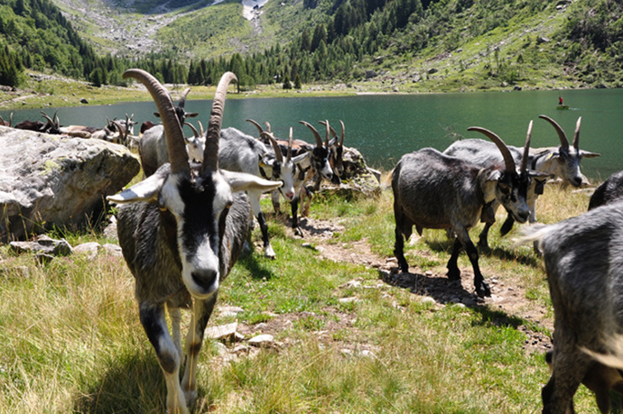 Val Cama (oua_17547598_image)