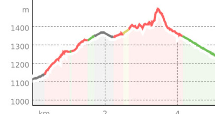 Hoch über dem Bündner Rheintal - Valzeiner Rundweg (oua_17562156_97f2ffe_profile)