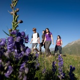 balade circulaire de Barandias (oua_17632663_image)