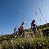 Warzenbeisserweg – « senda dal magliavirüclas » (oua_17632746_image)