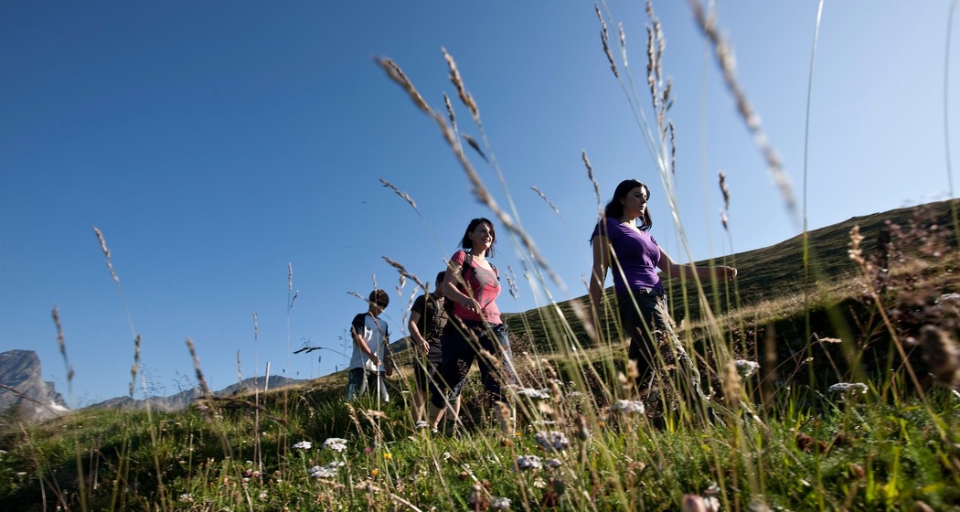 Warzenbeisserweg – «senda dal magliavirüclas» (oua_17632746_image)
