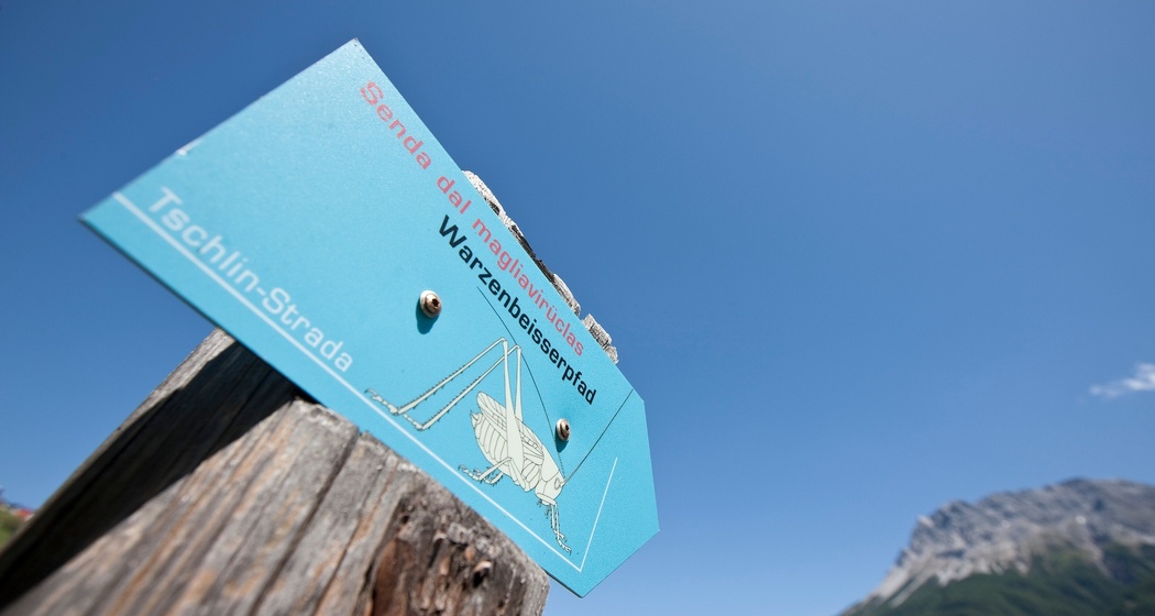 Themenweg - ein Erlebnis für die ganze Familie