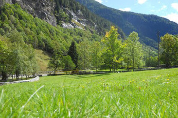 Prato della Monda - Fondazione Calanca delle Esploratrici (oua_17645026_image)