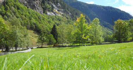 Prato della Monda - Fondazione Calanca delle Esploratrici (oua_17645026_image)