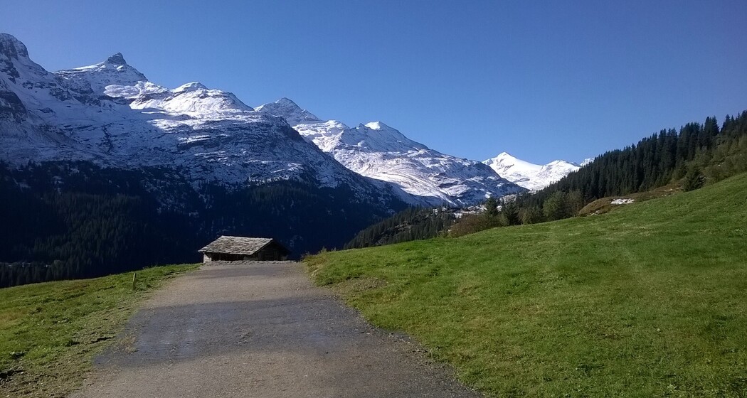 Blick von Gadastatt Richtung Zerfreila