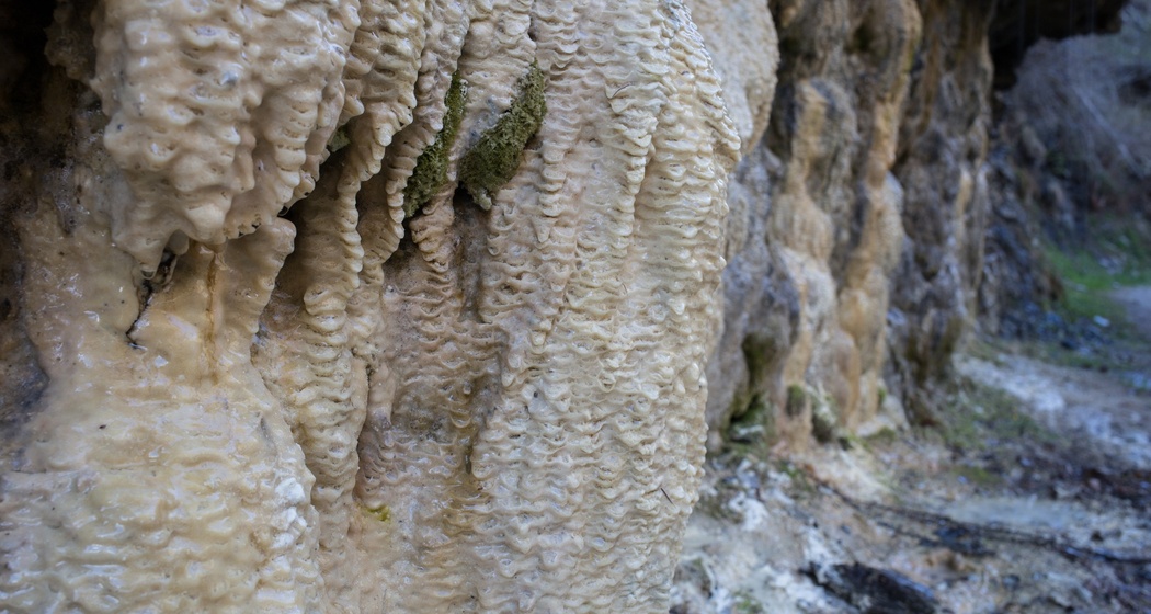 Clozza-Schlucht: Dem Ursprung entgegen (oua_17759875_image)