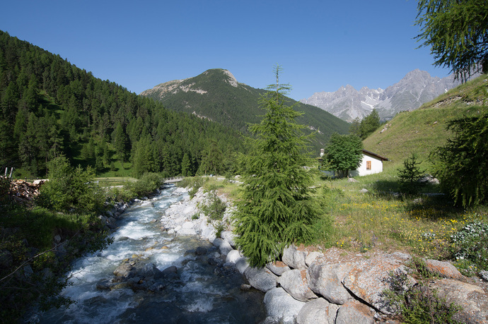 S-charl – Alp Sesvenna (retour) (oua_17790551_image)