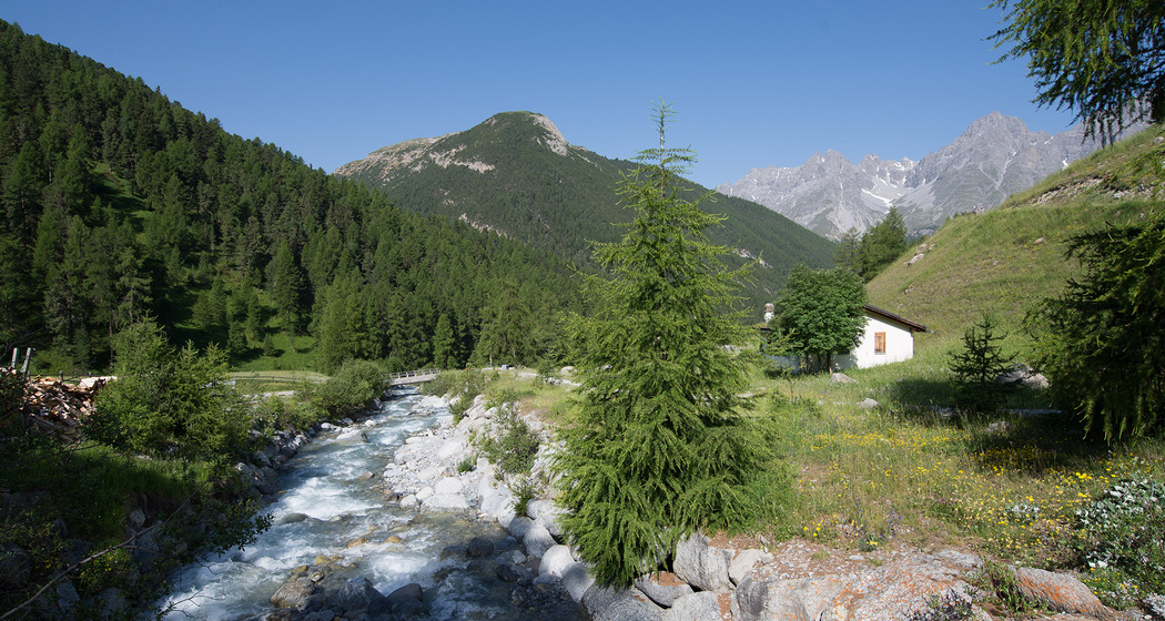 S-charl – Alp Sesvenna (retour) (oua_17790551_image)